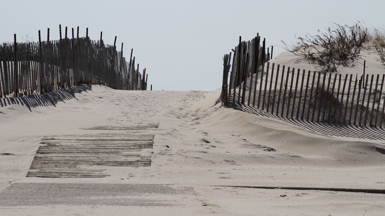 Photo of Others in East Atlantic Beach