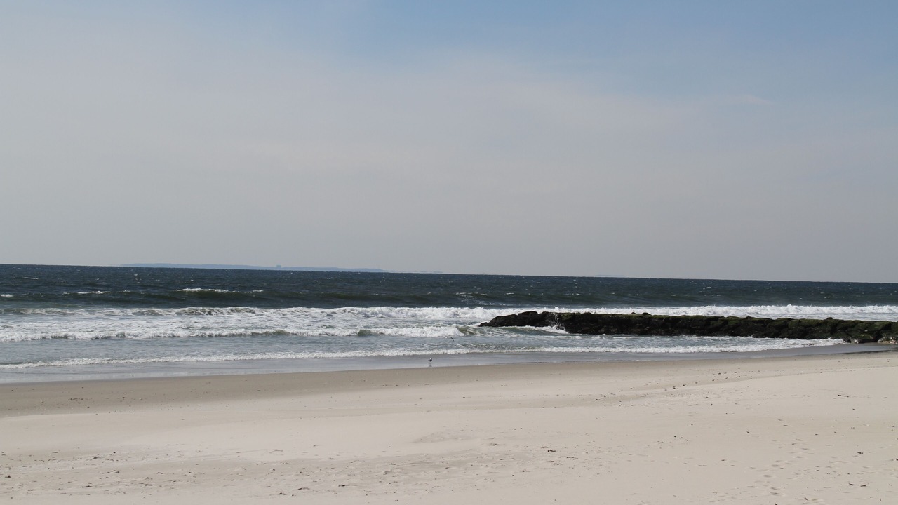 Photo of Others in East Atlantic Beach