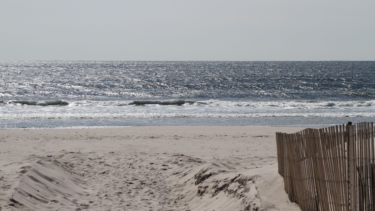 Photo of Others in East Atlantic Beach