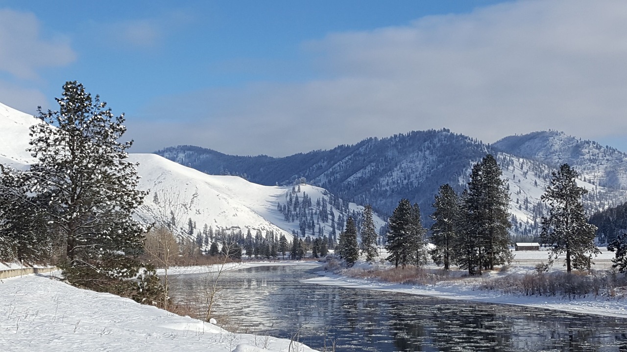 Photo of Others in St. Regis