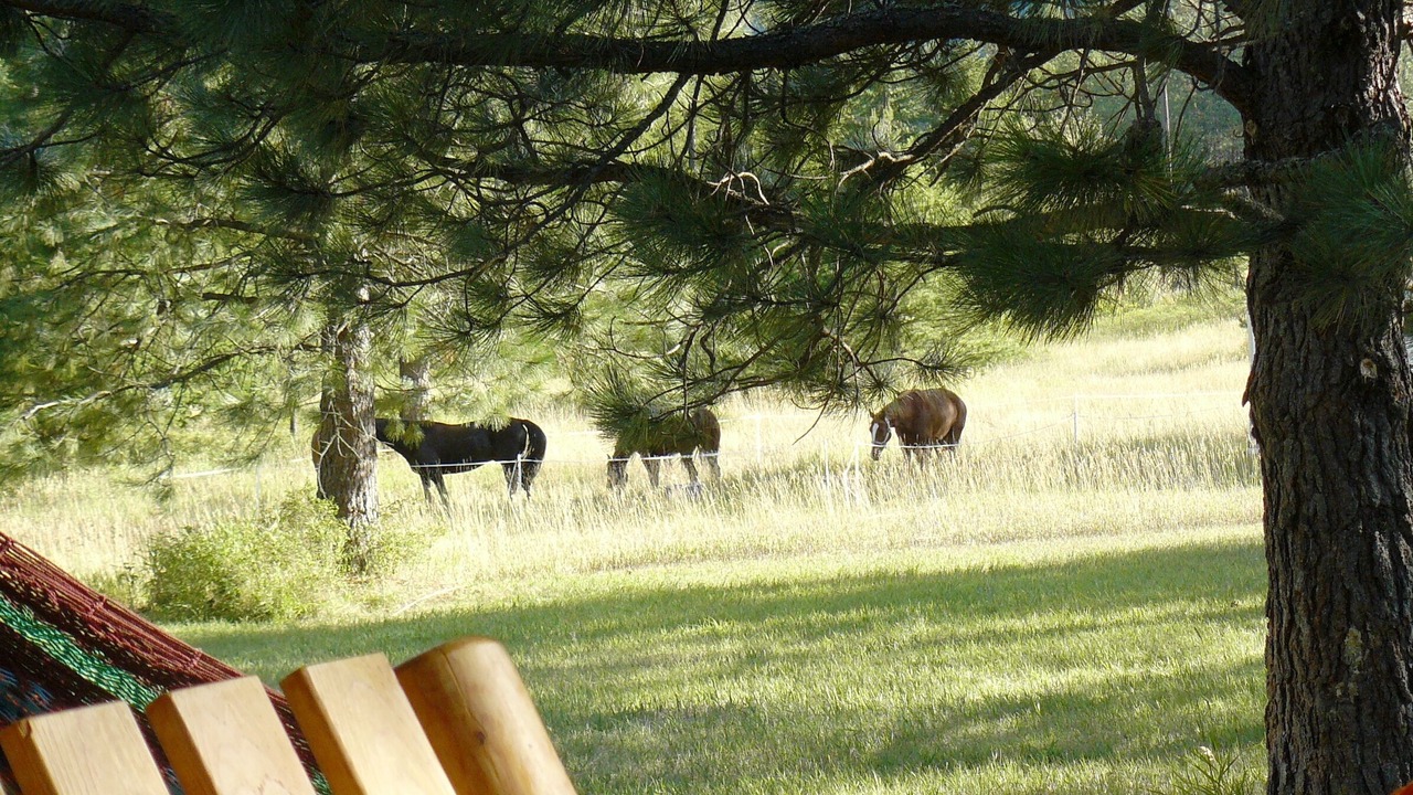 Photo of Others in St. Regis