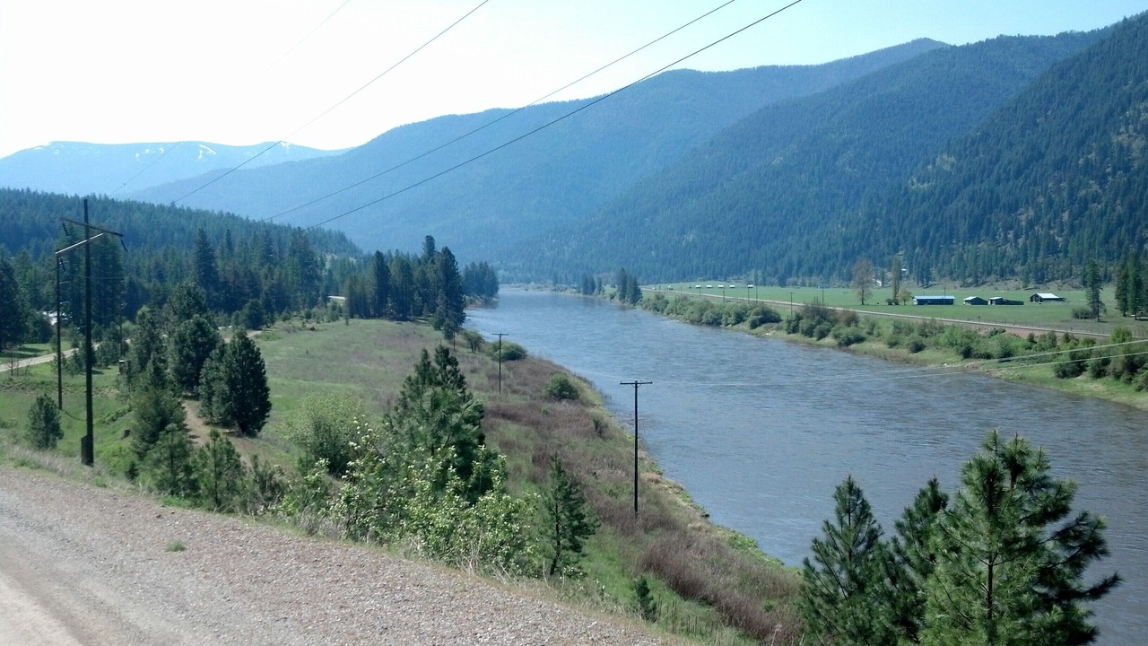 Photo of Others in St. Regis