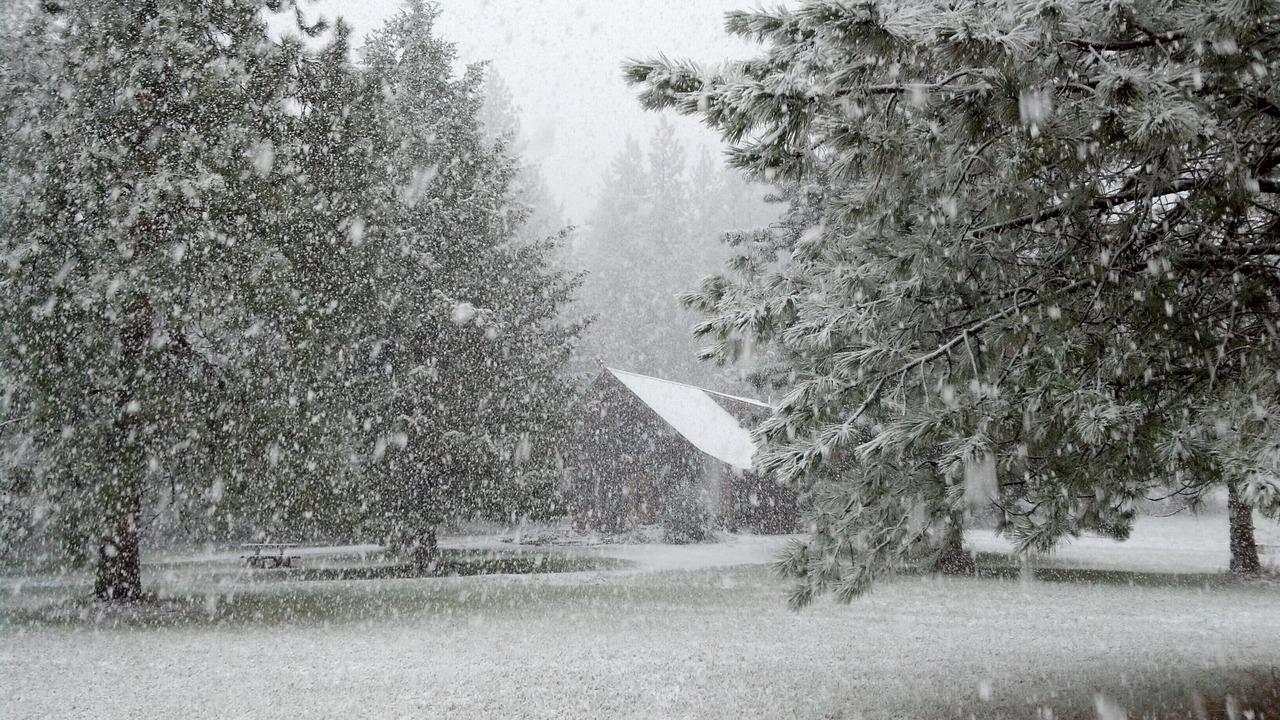 Photo of Outdoor in St. Regis