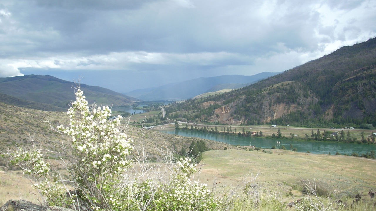 Photo of Others in St. Regis