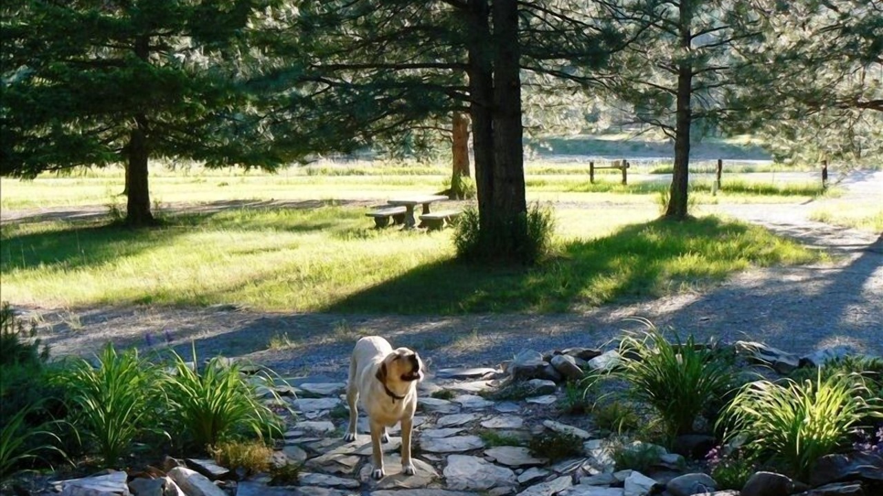 Photo of Others in St. Regis