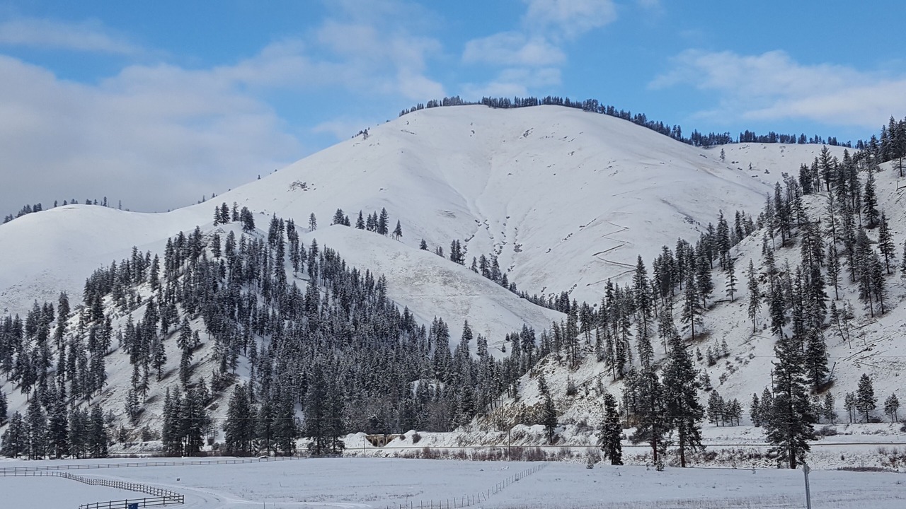 Photo of Others in St. Regis