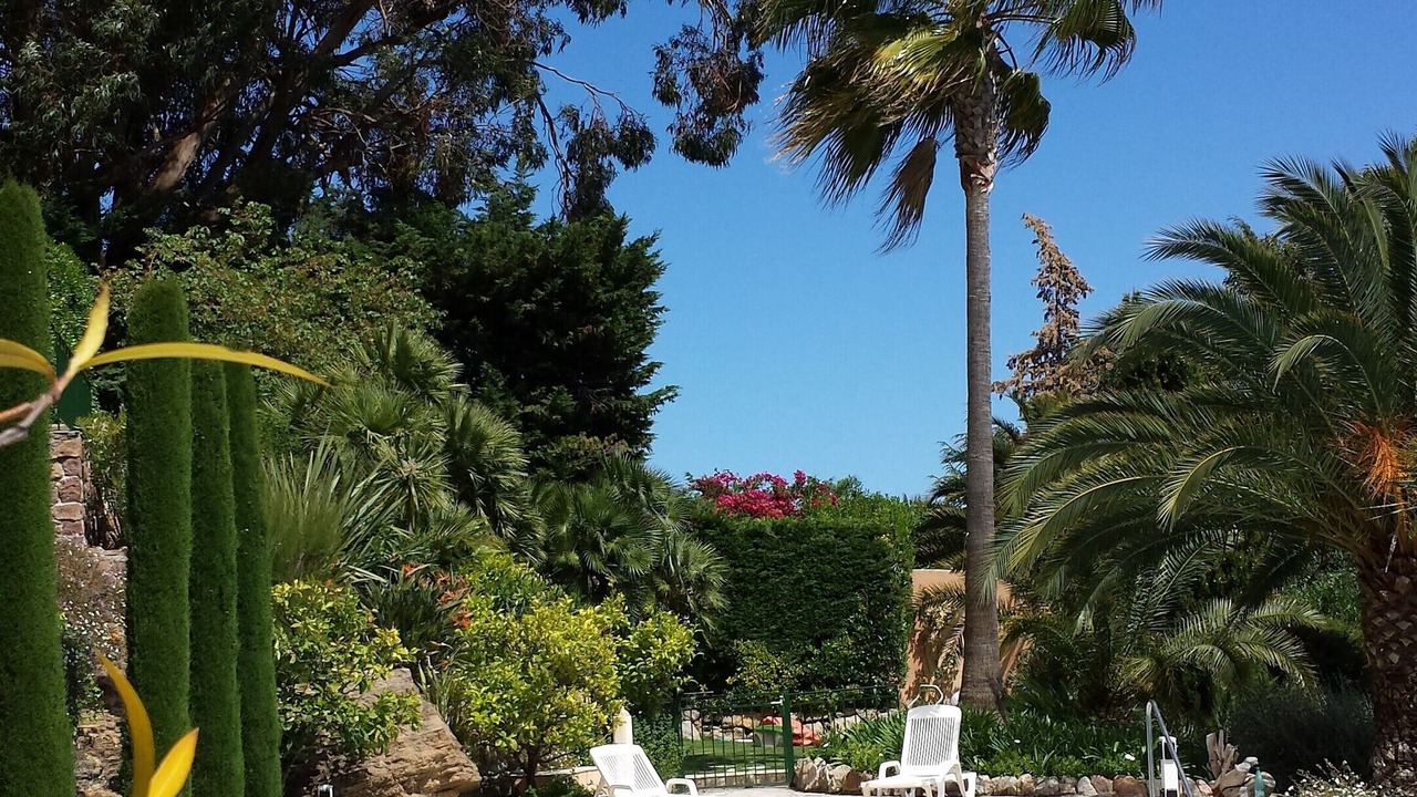 Photo of Outdoor in Theoule-Superieur