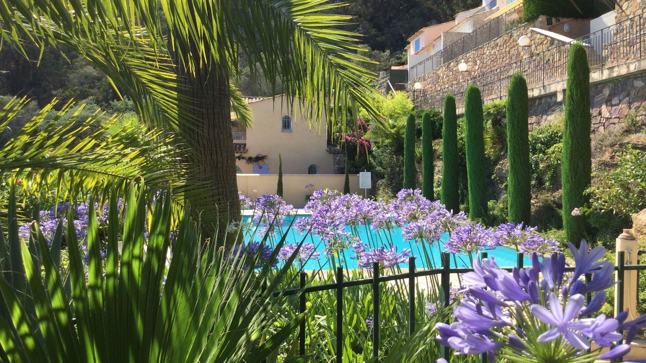 Photo of Outdoor in Theoule-Superieur