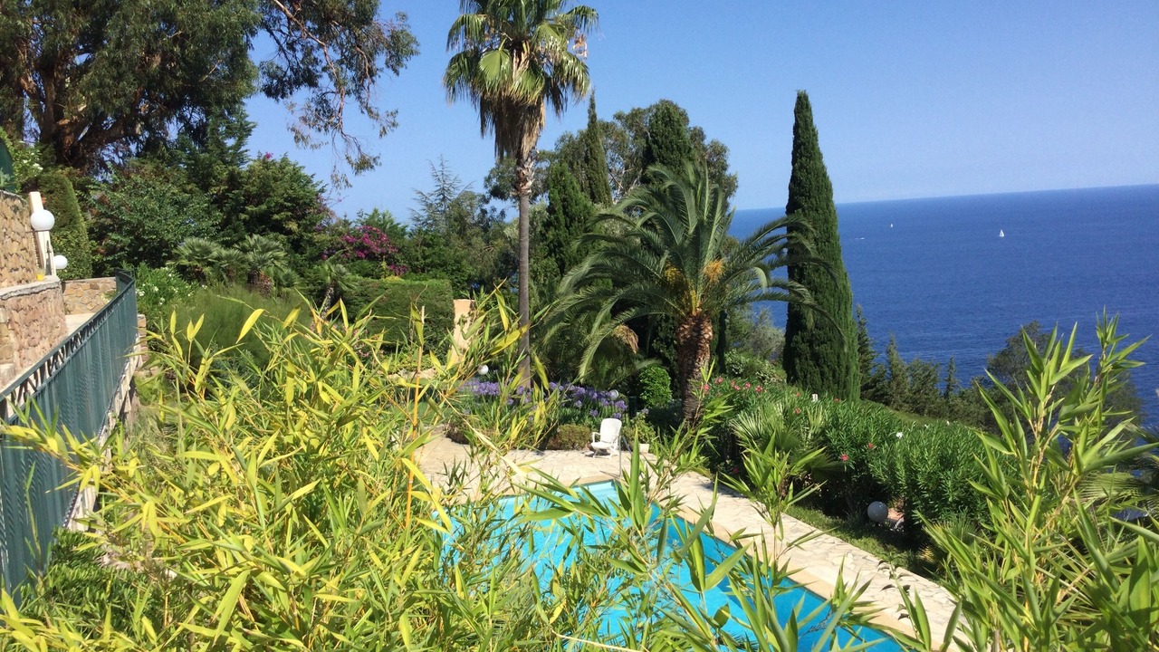 Photo of Outdoor in Theoule-Superieur