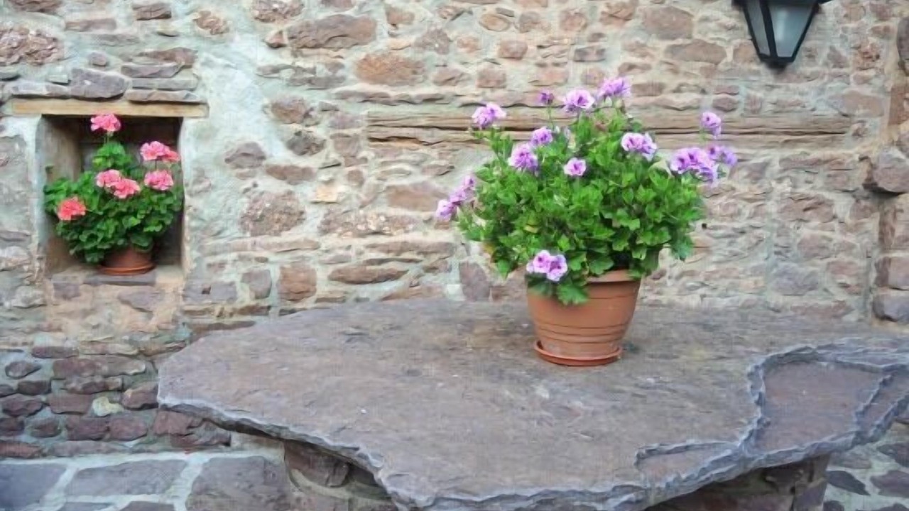Photo of Outdoor in Llagunes