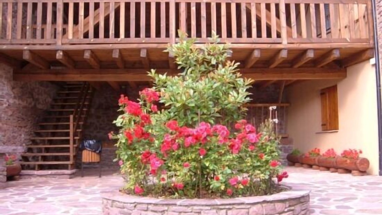 Photo of Outdoor in Llagunes