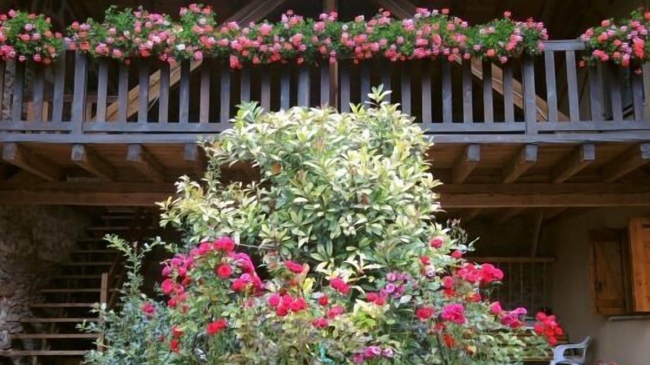 Photo of Outdoor in Llagunes
