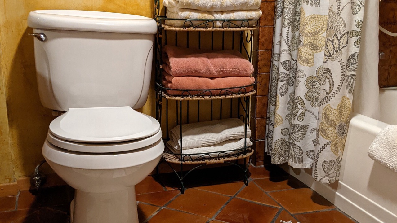Photo of Bathroom in Sylvia Park