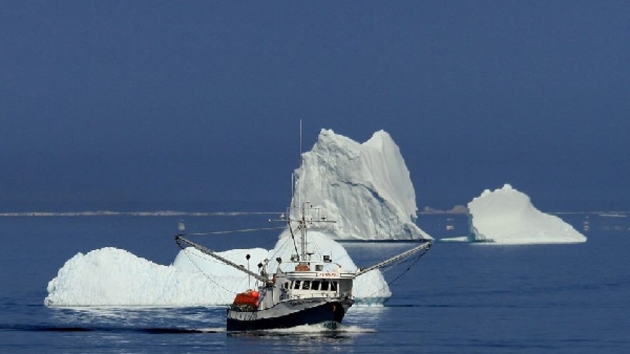 Photo of Others in Bonavista