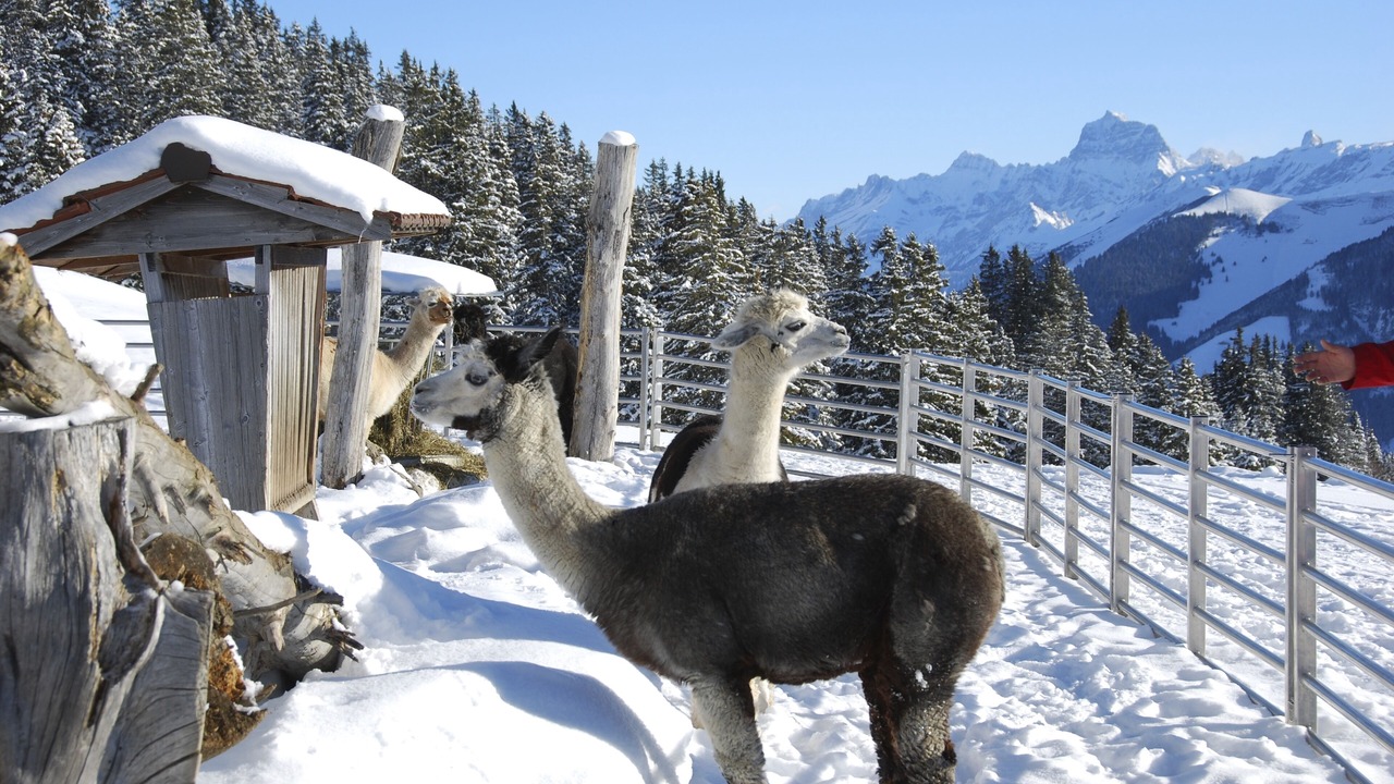 Photo of Outdoor in Val d'Illiez