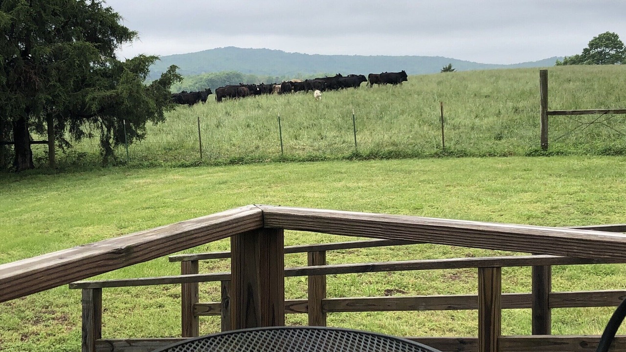 Photo of Outdoor in Huntsville