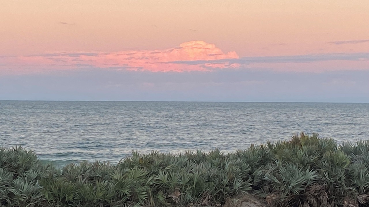 Photo of Others in Ormond-by-the-Sea