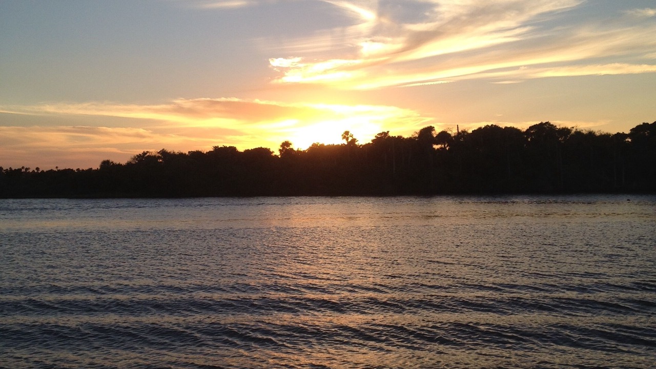 Photo of Others in Ormond-by-the-Sea