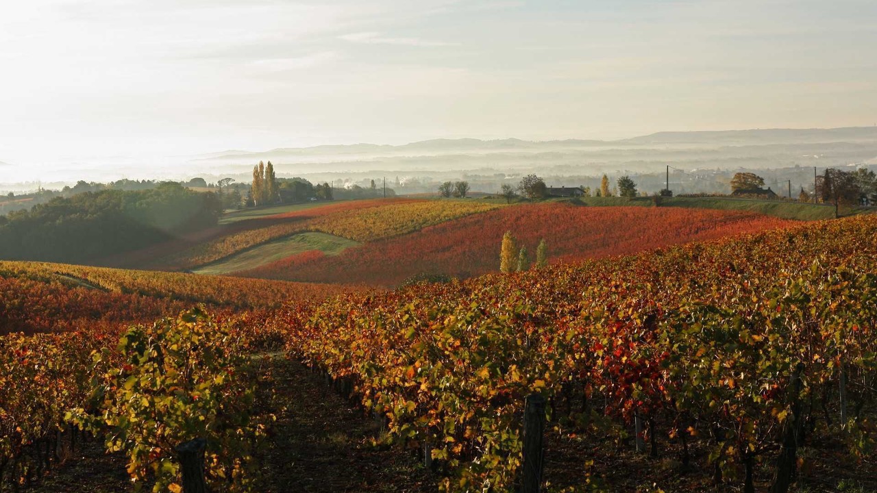 Photo of Others in Castelnau-de-Montmiral