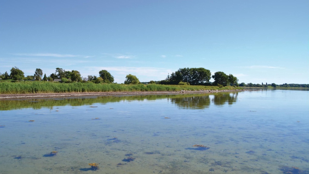 Photo of Others in Svendborg