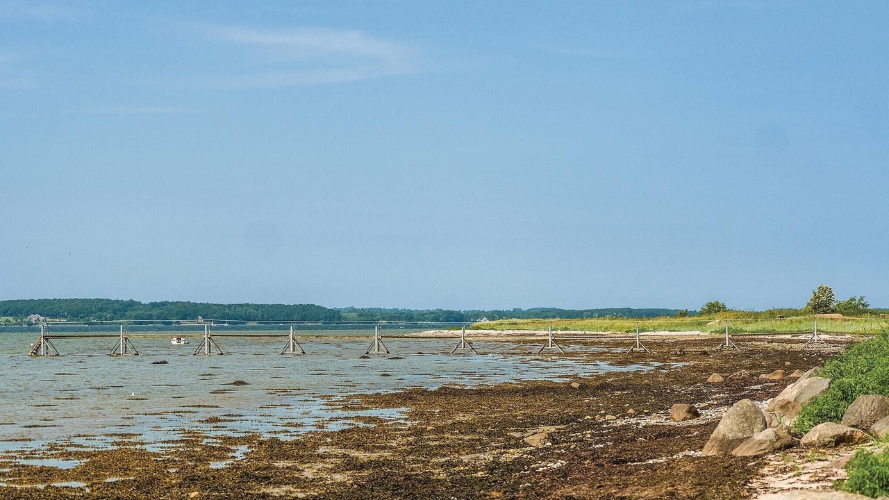 Photo of Others in Svendborg