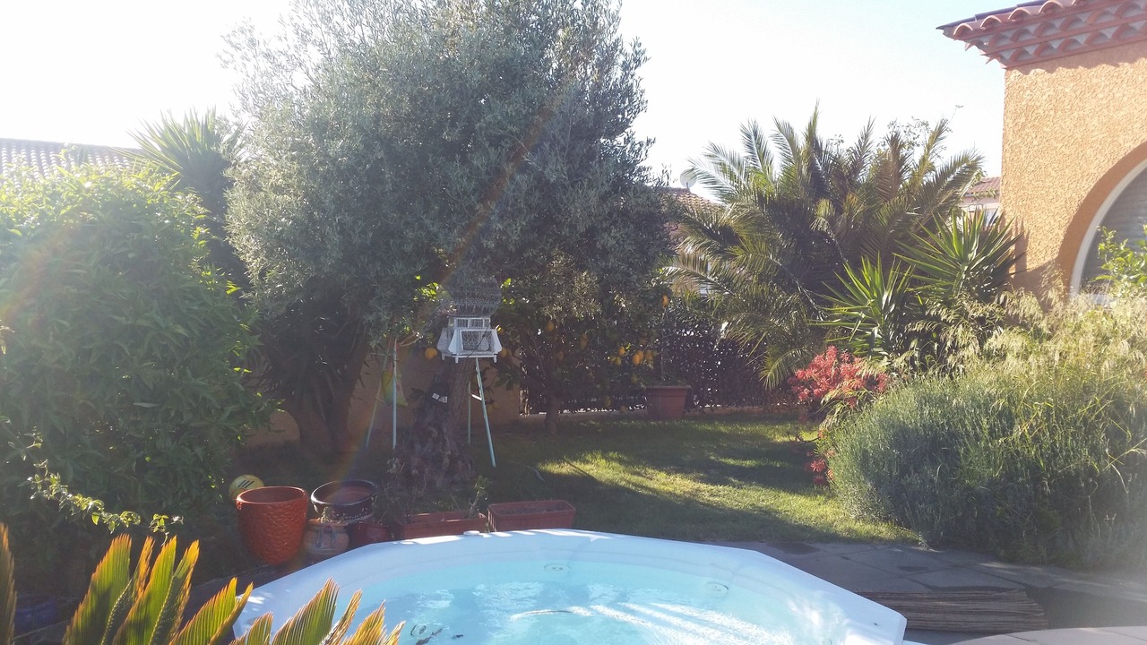 Photo of Outdoor in Saint-Cyprien