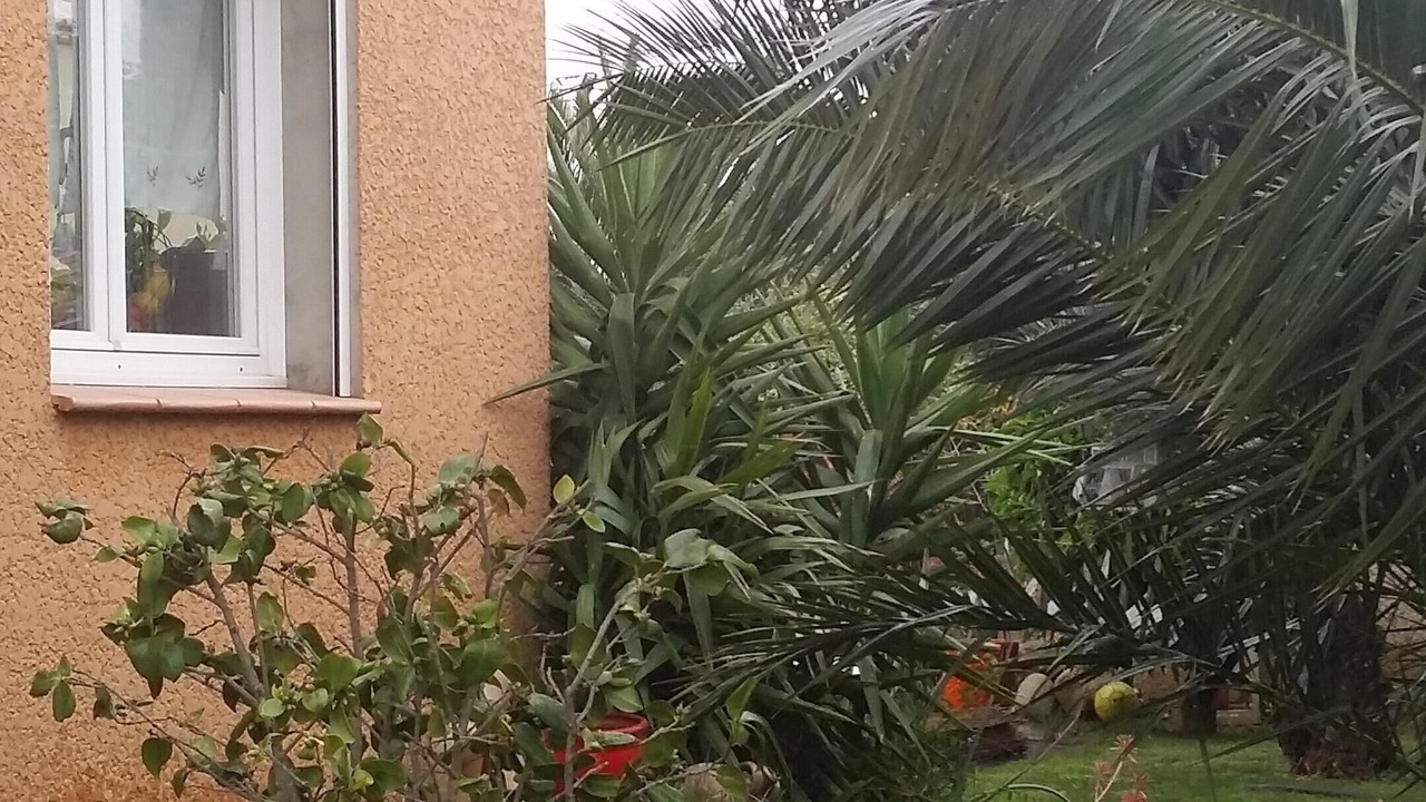 Photo of Outdoor in Saint-Cyprien