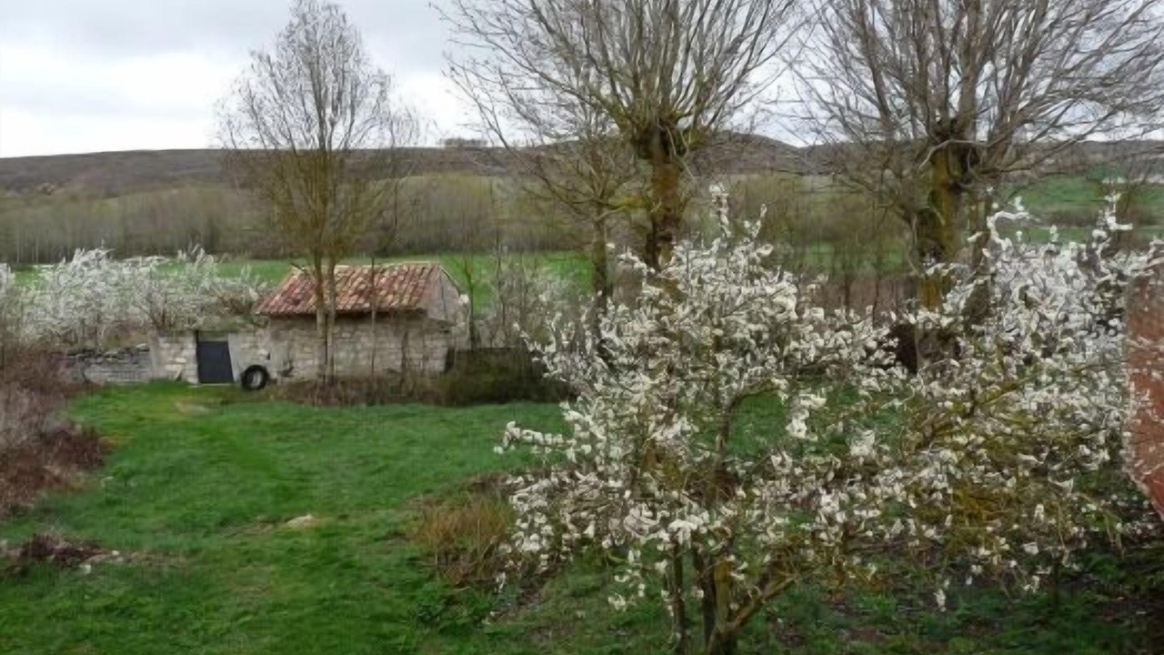 Photo of Outdoor in Las Hormazas