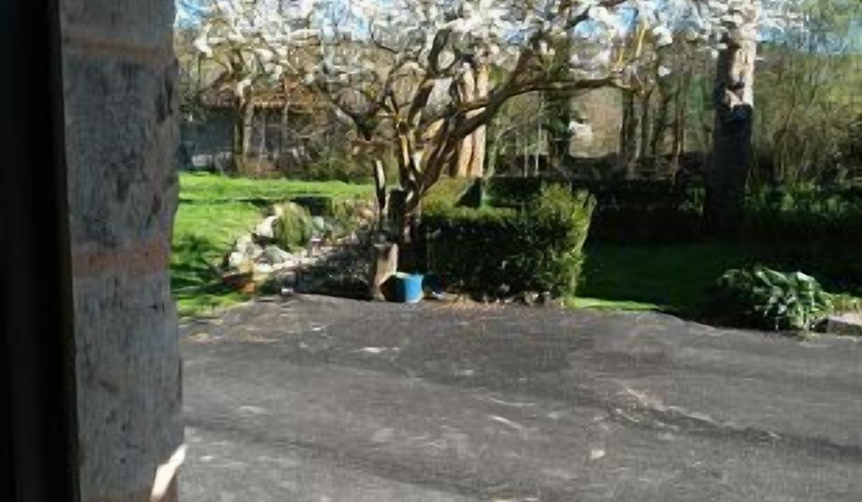 Photo of Outdoor in Las Hormazas