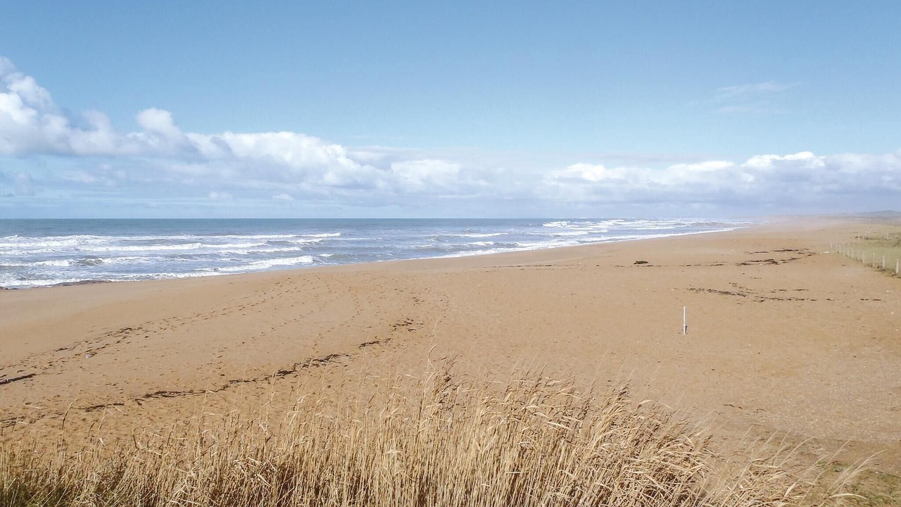 Photo of Others in Olonne-sur-Mer
