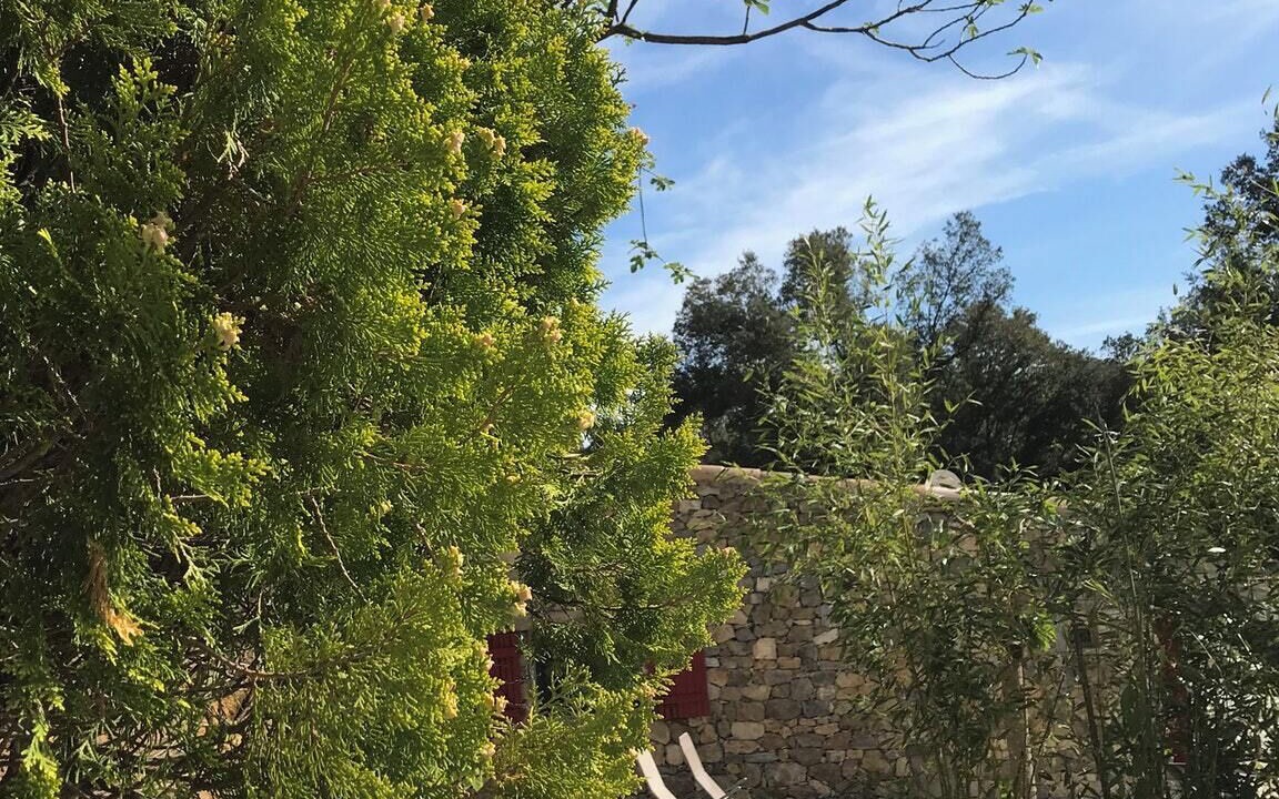 Photo of Outdoor in Saint-Julien-de-la-Nef