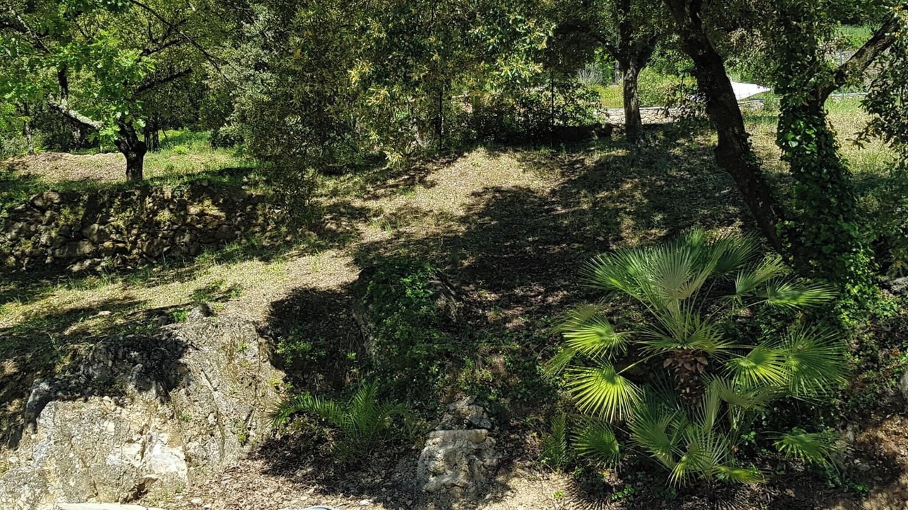 Photo of Outdoor in Saint-Julien-de-la-Nef