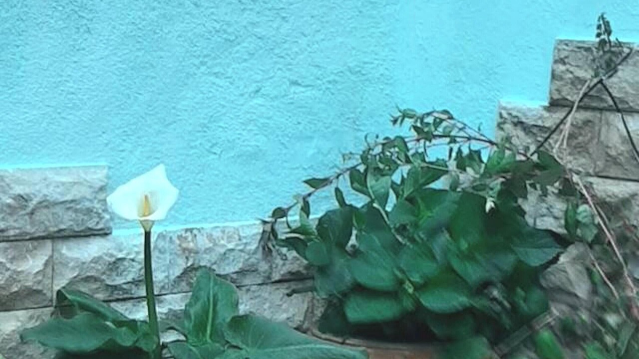Photo of Outdoor in Ores