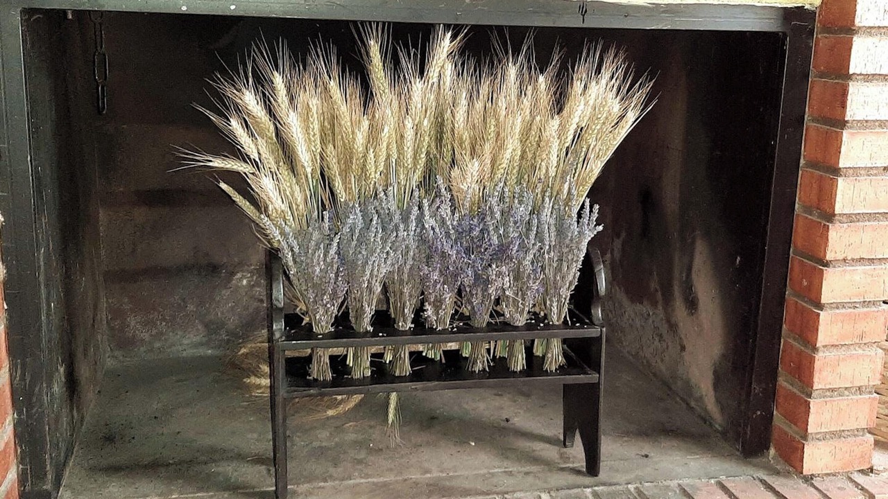 Photo of Others in Ores