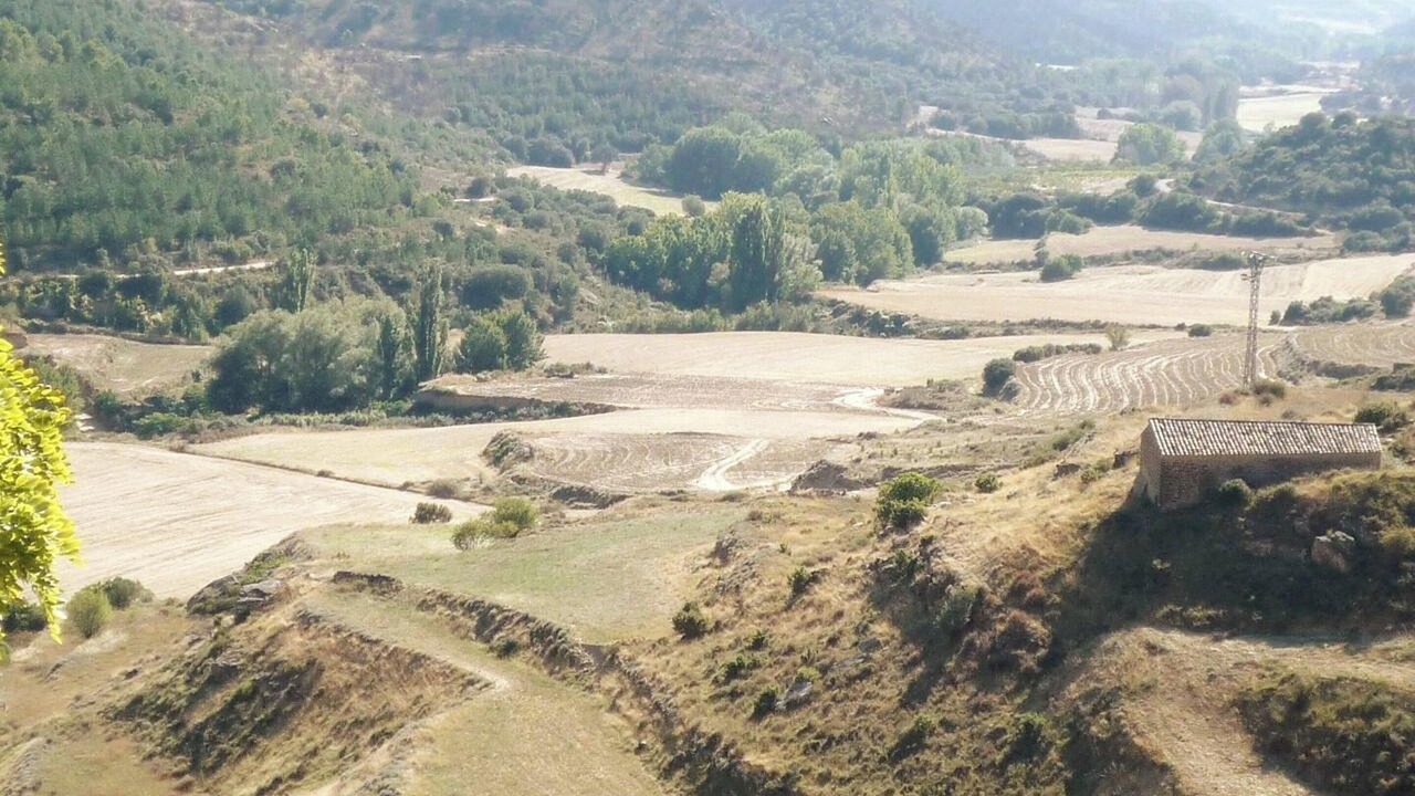 Photo of Others in Ores