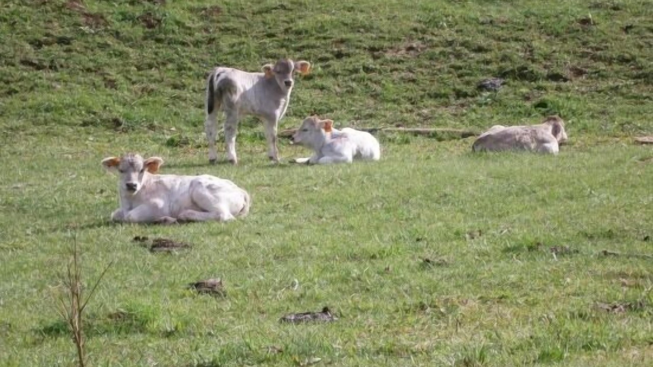 Photo of Outdoor in Llagunes