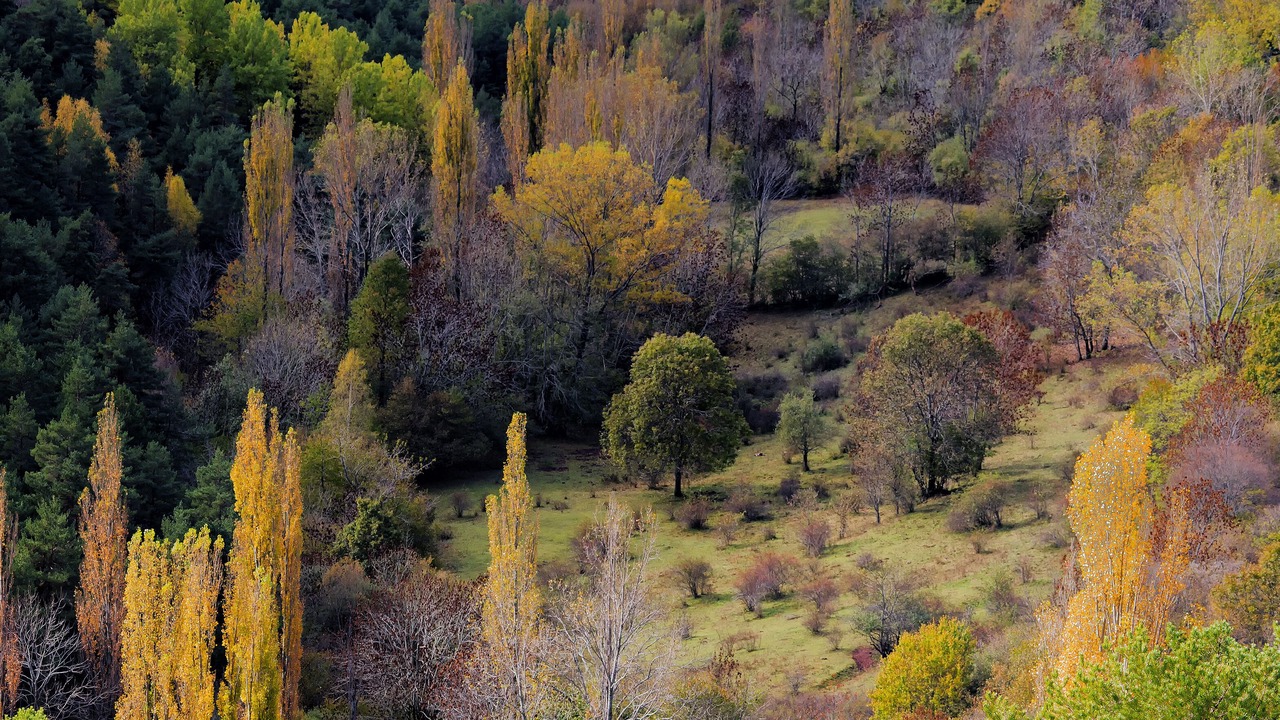 Photo of Outdoor in Llagunes