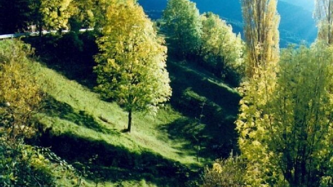Photo of Outdoor in Llagunes