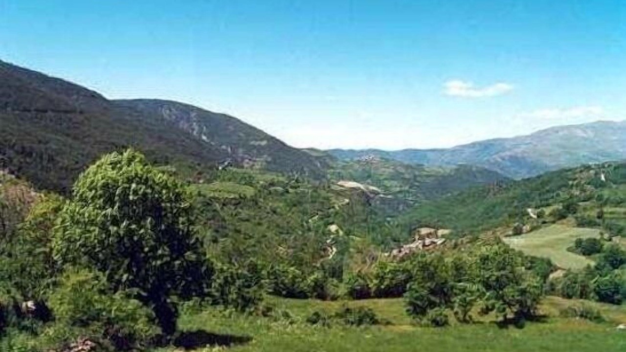Photo of Outdoor in Llagunes