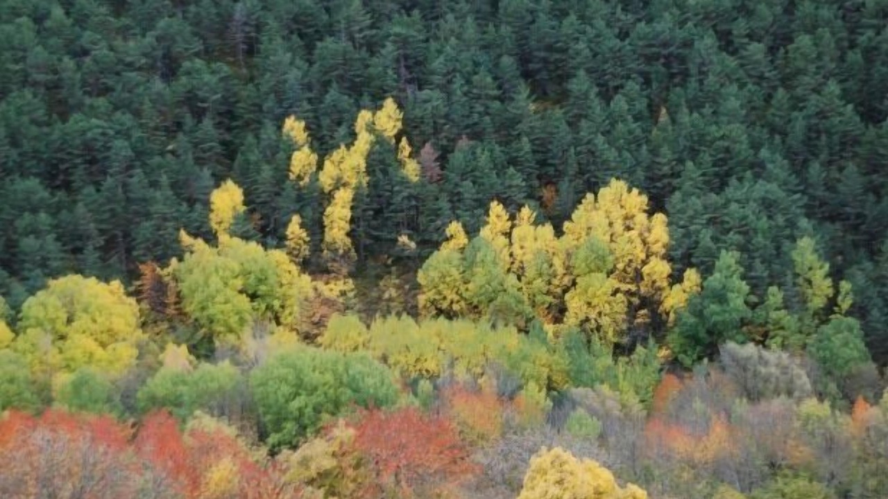 Photo of Outdoor in Llagunes