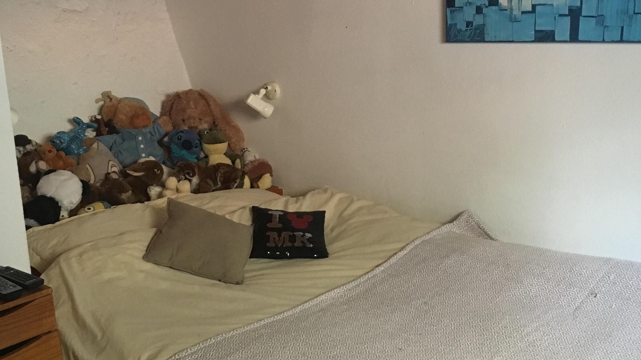 Photo of Bedroom in Saint-Remy