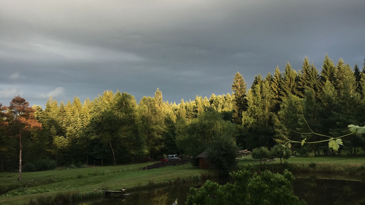 Photo of Outdoor in Saint-Remy