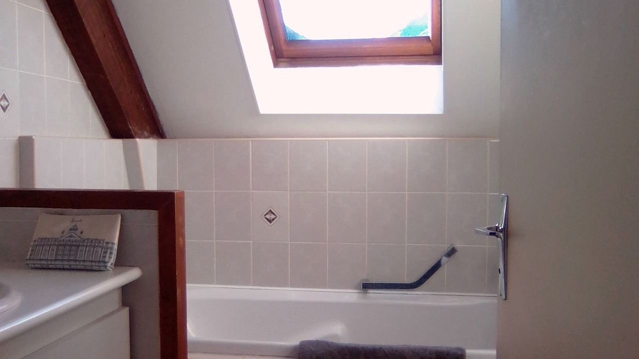 Photo of Bathroom in Artalens-Souin