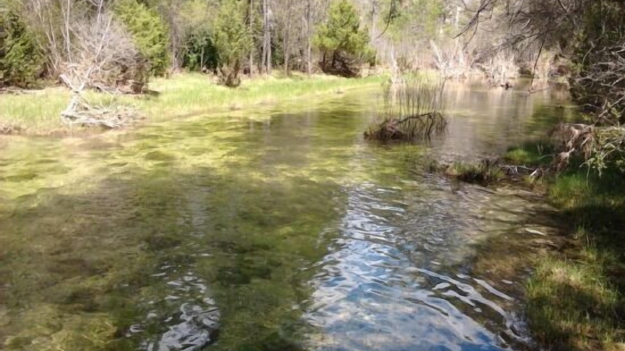 Photo of Outdoor in Las Majadas