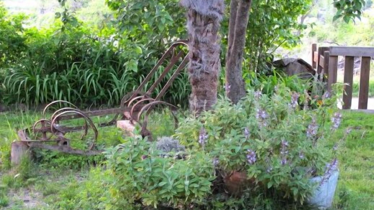 Photo of Outdoor in Ainsa-Sobrarbe
