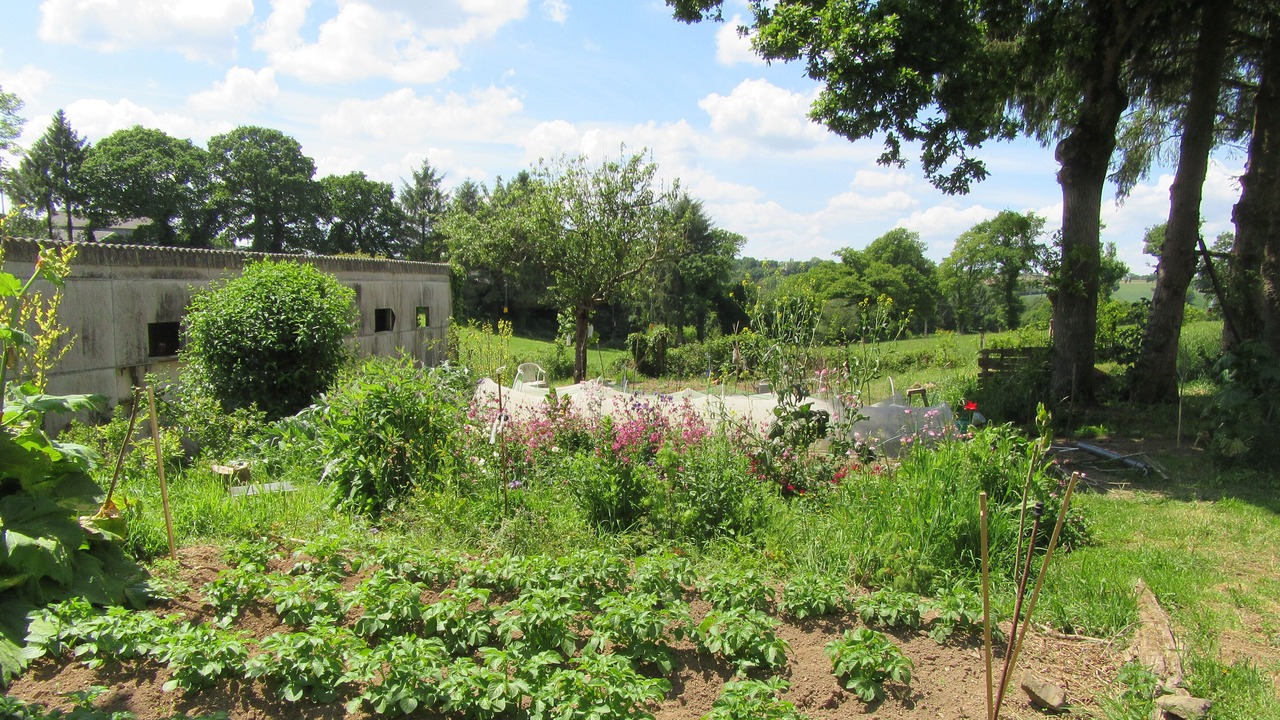 Photo of Outdoor in Kergloff