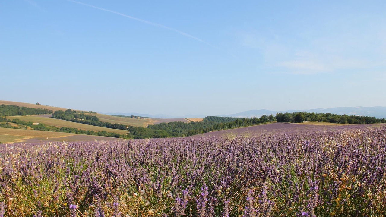Photo of Outdoor in Saumane