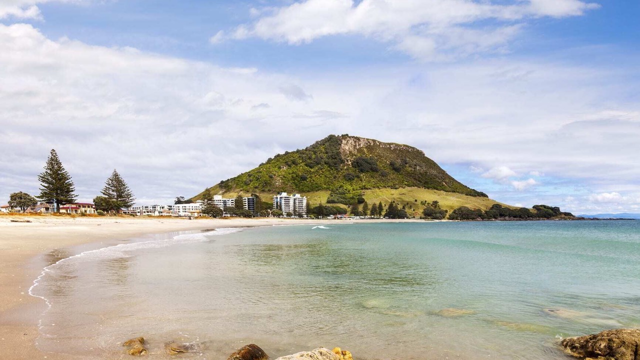 Photo of Others in Mount Maunganui