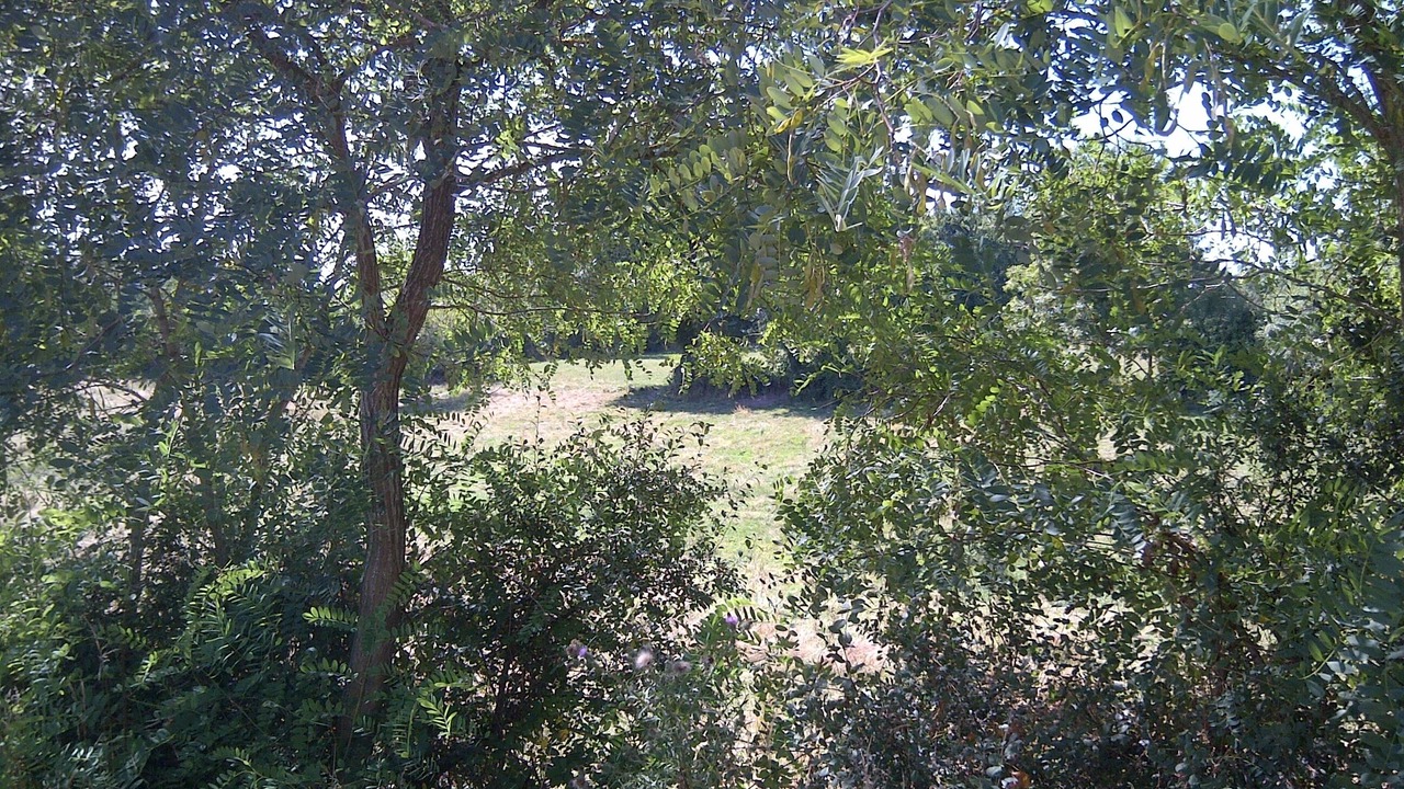 Photo of Outdoor in Thorigny