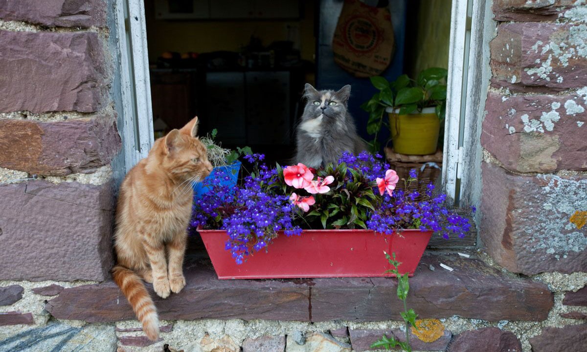 Photo of Outdoor in Cerisy-la-Salle